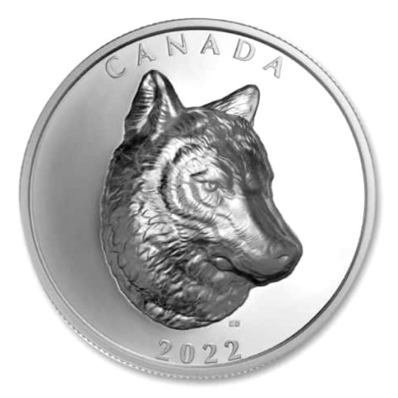 This piece is extremely collectible, 99.99% pure silver 36 millimetres & 31.62 g - Picture 5 of 10